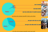 Doanh nghiệp Việt Nam 2020 qua các con số