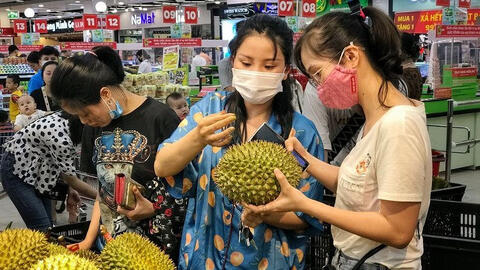 Sầu riêng ruột đỏ từ 250.000 - 350.000 nghìn đồng/kg hút người mua