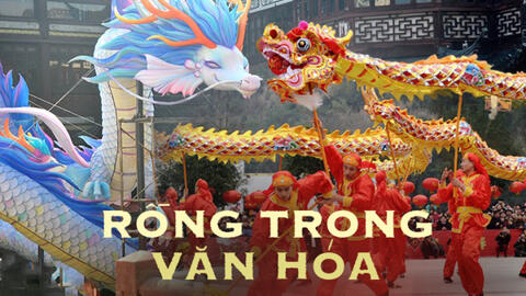 Năm Thìn và hình tượng rồng trong văn hóa truyền thống Trung Quốc: Từ thần thú được gửi gắm khát vọng đến cái hồn đi sâu vào quan niệm sống