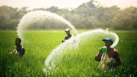 Cuộc chiến ở Ukraina khiến giá phân bón tăng cao, đe dọa ngành nông nghiệp toàn cầu