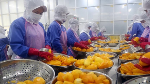 Xuất khẩu nông sản 2 tháng đầu năm 2022 tăng mạnh