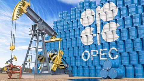 OPEC+ dự đoán thị trường dầu mỏ dư cung vào đầu năm 2022