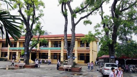 Hà Nội cần thống nhất trong quản lý cây xanh ở trường học