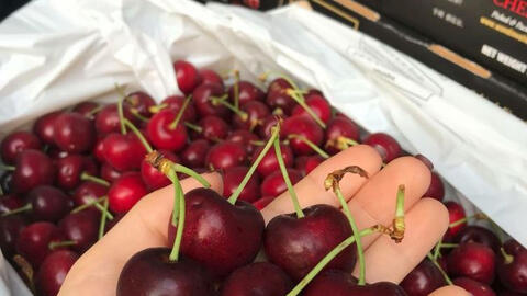 Giá thực phẩm ngày 15/7: Cherry Mỹ vào mùa, giá giảm