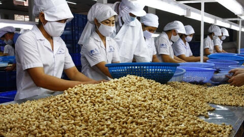 Bất ngờ với số gạo, hạt điều Việt Nam nhập từ nước ngoài năm 2021
