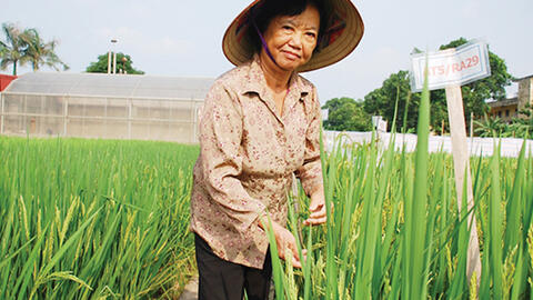 Anh hùng lao động Nguyễn Thị Trâm - người mang tới những mùa vàng bội thu