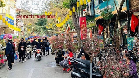 Tuyến phố nào ở Hà Nội bị cấm để mở chợ hoa Xuân Tết Quý Mão?