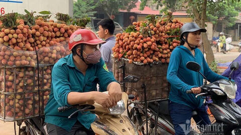 Chợ vải thiều Lục Ngạn dài 20km, chỉ một mẩu giấy nhỏ thu về 3.500 tỷ đồng