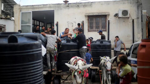 Cách người đàn ông và con lừa giúp người dân Gaza khỏi chết khát giữa vòng vây của quân đội Israel