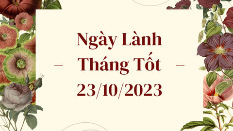 Xem ngày lành tháng tốt 23/10/2023: Cần tránh làm những việc liên quan đến giấy tờ, tố tụng trong hôm nay