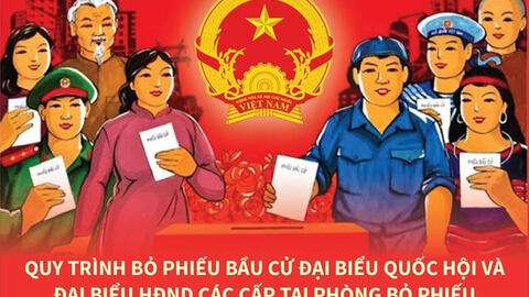 Quy trình bỏ phiếu bầu đại biểu Quốc hội