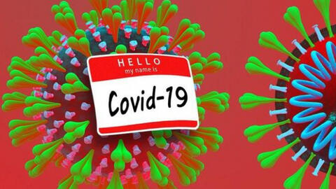 Chỉ có 4% trong 23.000 mẫu nghiên cứu phát triển kháng thể chống lại virus Covid-19