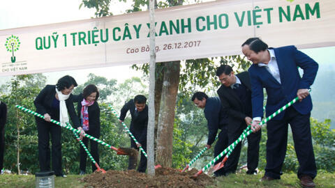 Vinamilk chung tay cùng người dân vừa trồng cây gây rừng, vừa tạo sinh kế