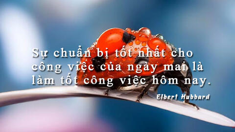 Tử vi sự nghiệp thứ 5 ngày 9/1/2020 của 12 con giáp: Dần tự tin và lạc quan, Thân vượt qua mọi thất bại