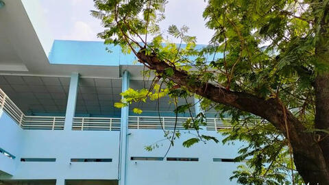 Nuôi vợ điều trị bệnh hậu Covid-19 ở bệnh viện, chồng chích điện giết chết vợ rồi tự tử