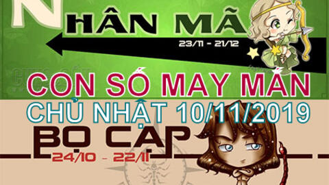 Tử vi Chủ nhật ngày 10/11/2019 của 12 cung hoàng đạo: Nhân Mã cơ hội tới, Bọ Cạp dè chừng người lạ