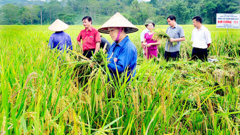 Nông nghiệp rất cần các đề tài thuộc khoa học quản lý, khoa học mang tính tổng hợp cao