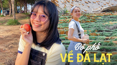 Bỏ phố về Đà Lạt: Từng làm ngân hàng 7 năm cũng không tìm được việc, lương thấp nhưng chi phí sinh hoạt không hề rẻ