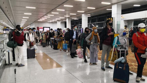 Gần 1000 du học sinh, công dân Việt Nam tại Mỹ đăng ký về nước