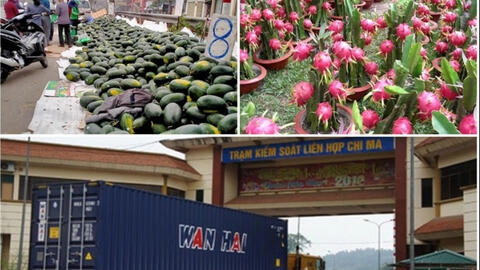 Không chuyển hàng nông sản lên biên giới Trung Quốc