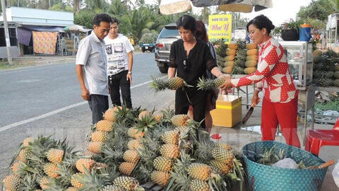 Thực phẩm ngày 3/4:  Thơm tăng giá mạnh