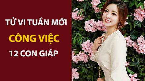 Tử vi tuần mới (3-9/6/2019) về công việc của 12 con giáp: Mão xốc lại tinh thần, Ngọ bao dung