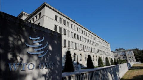 WTO: Hạn chế xuất khẩu đồ y tế có thể kìm hãm nỗ lực ngăn chặn đại dịch
