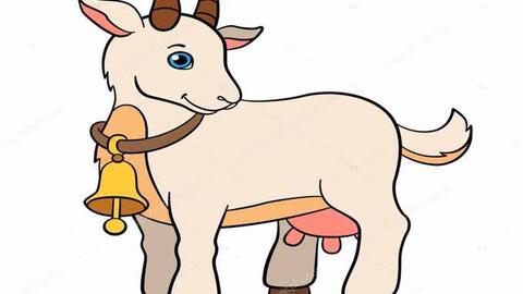 Tử vi tình yêu chủ Nhật ngày 1/12 của 12 con giáp: Sửu nhiệt tình, Dần thích phiêu lưu