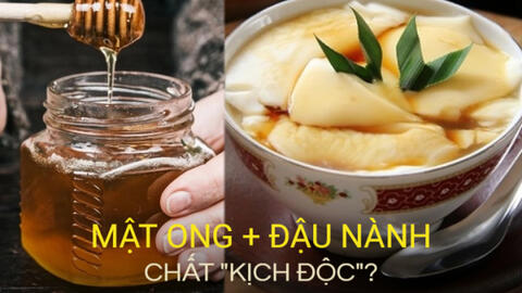 Mật ong + đậu nành tạo thành "chất kịch độc"? Điều BS phân tích sẽ khiến bạn nhận ra sai lầm từ trước đến nay