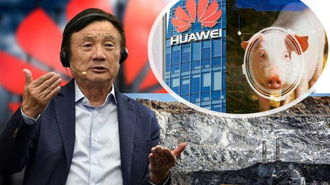 Sau khi lấn sân nuôi heo, tập đoàn Huawei tiếp tục nuôi cá bù lỗ cho mảng công nghệ