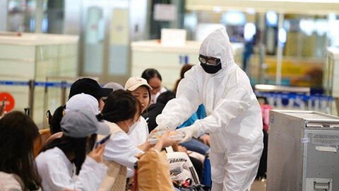 Việt Nam thêm 3 ca mắc Covid-19 mới là du học sinh, tiếp viên hàng không và du khách