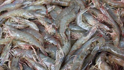 Giá thực phẩm ngày 14/7: Tôm thẻ 180.000 đồng/kg