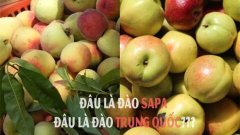 Cách phân biệt trái cây Trung Quốc đang bán khắp vỉa hè, sạp chợ
