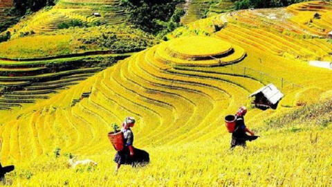 Xu hướng du lịch nào lên ngôi kỳ nghỉ lễ 2/9?