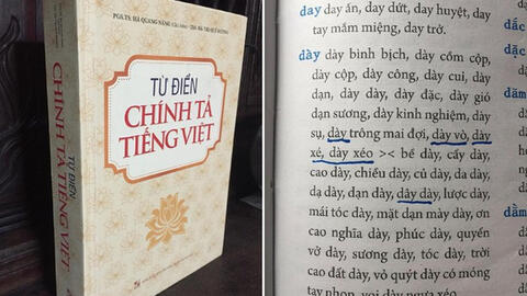 Từ điển chính tả Việt Nam của NXB Đại học Quốc gia Hà Nội sai chính tả