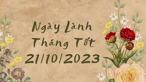 Xem ngày lành tháng tốt 21/10/2023: Trong hôm nay, bất kể việc lớn hay nhỏ đều nên cân nhắc trước khi tiến hành