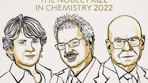 Nobel Hoá học 2022 trao giải cho những nghiên cứu về phát triển hóa học Click và hóa học sinh trực giao