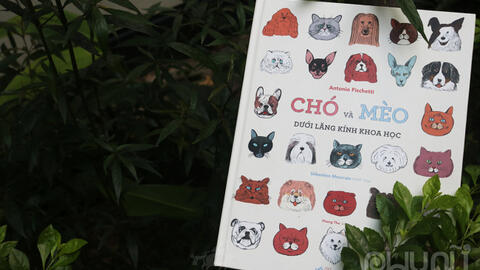 Chó và Mèo dưới lăng kính khoa học: Cẩm nang cho "sen" khi nuôi dạy các "boss"