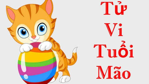 Tử vi năm 2022 tuổi Mão: Cẩn thận tiểu nhân hao tốn tiền của