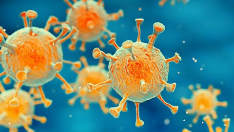 Diễn biến phức tạp của 12 biến chủng virus corona trên toàn cầu