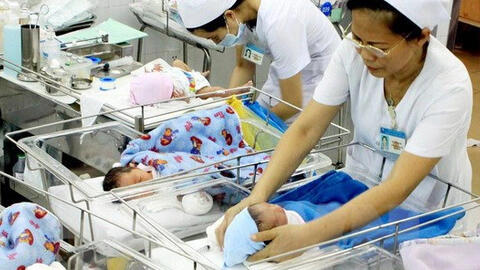 Mức sinh ở Việt Nam thấp "chưa từng có"