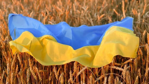 Xung đột Nga - Ukraine lật đổ "giỏ bánh mỳ của châu Âu" thế nào?