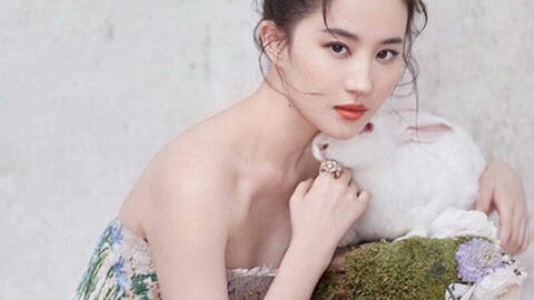 Tử vi 12 con giáp ngày 11/10: Hợi không từ thủ đoạn, Tuất bị kẻ khác chơi xấu
