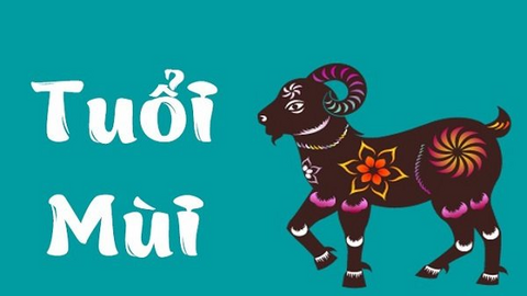 Tử vi năm 2022 tuổi Mùi: Một năm ngập tràn tiền bạc, đào hoa nở rộ