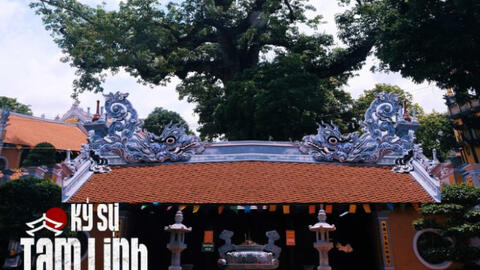 Về Hải Phòng thăm đền Mõ, nơi có cây gạo hơn 700 tuổi gắn liền với chuyện tình của nàng công chúa nổi tiếng nhất lịch sử Việt Nam