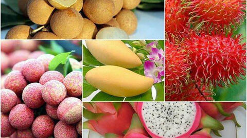 6 loại trái cây tươi ở Việt Nam "xuất ngoại" thành công