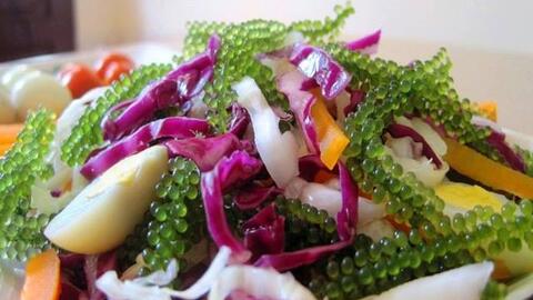 Món ngon mỗi ngày: Cách làm món salad bắp cải tím rong nho