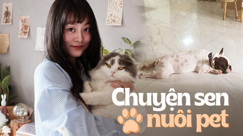 Nỗi niềm “con sen": Mỗi tháng tốn gần 5 triệu nuôi chó mèo, lỡ bị bệnh thì hết luôn 2 triệu/ tuần
