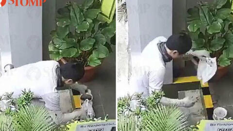 Thấy nước súp đổ loang lổ ở hành lang, người phụ nữ kiểm tra camera phát hiện hành vi "kinh tởm" của shipper, quyết không đặt đồ ăn online nữa