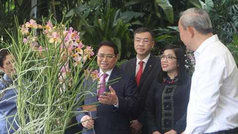 Singapore lấy tên Thủ tướng Phạm Minh Chính và Phu nhân đặt cho loài hoa lan mới